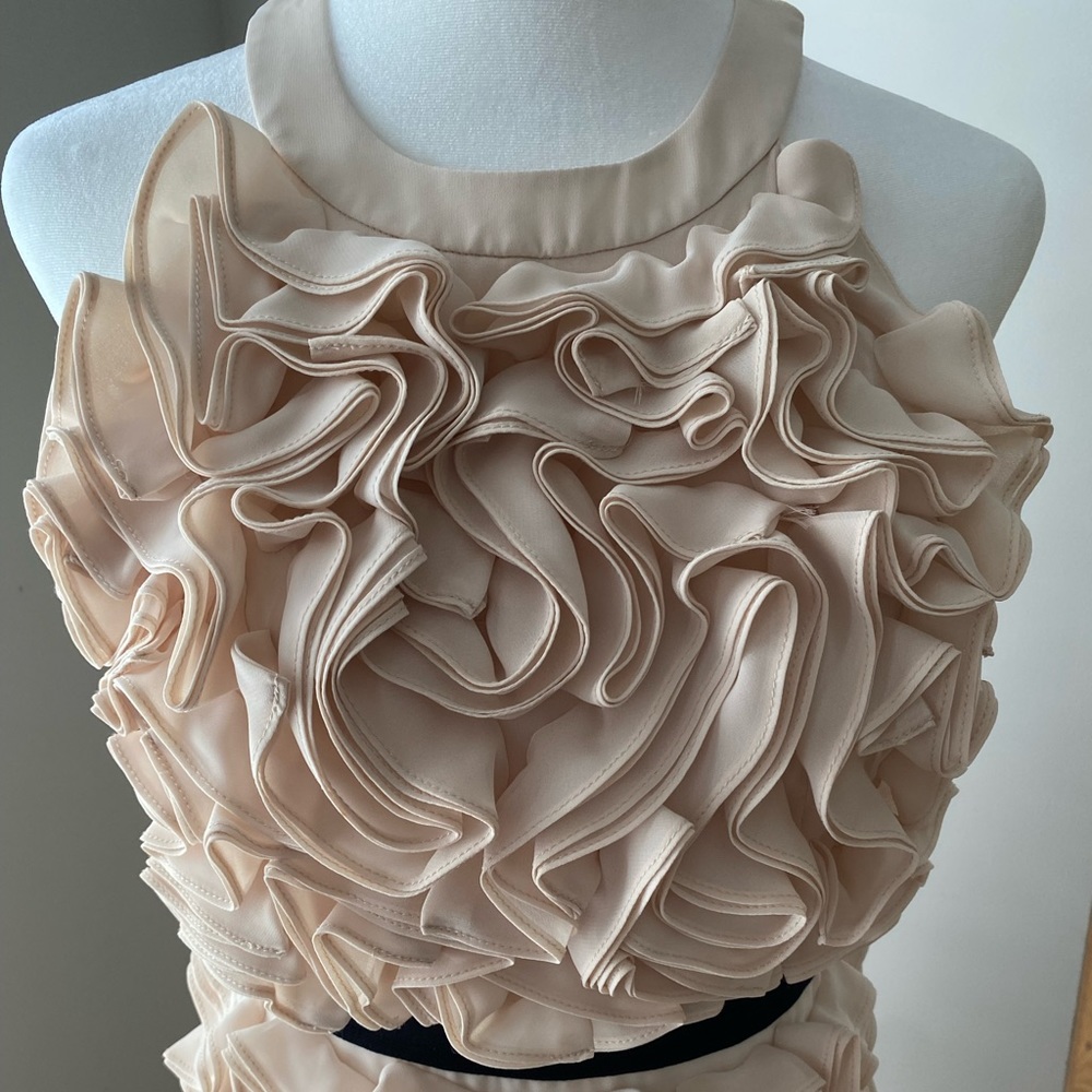 BCBGMAXAZRIA Dress. Size 2. Blush, halter, pleated, Midi dress. - Picture 4 of 9